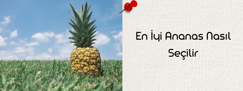 en-iyi-ananas-nasil-secilir